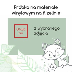 Próbka z wybranego zdjęcia - materiały winylowe