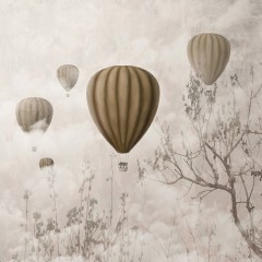 Balony we mgle