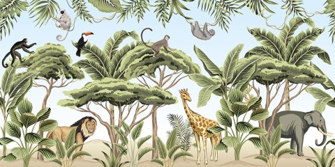 Safari
