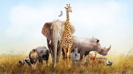 Zwierzęta Safari