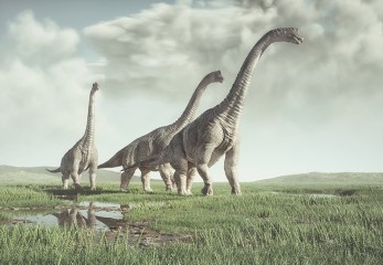 Prehistoryczne dinozaury